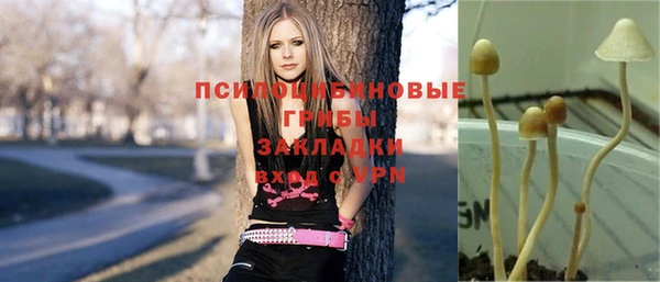 a pvp Богданович