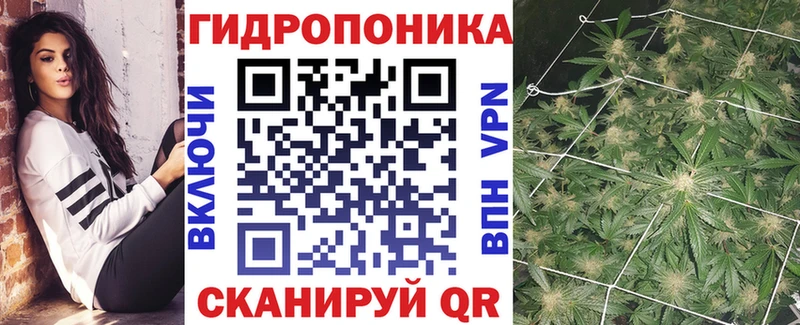 Каннабис White Widow Городище